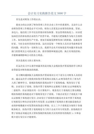 会计实习实践报告范文3000字