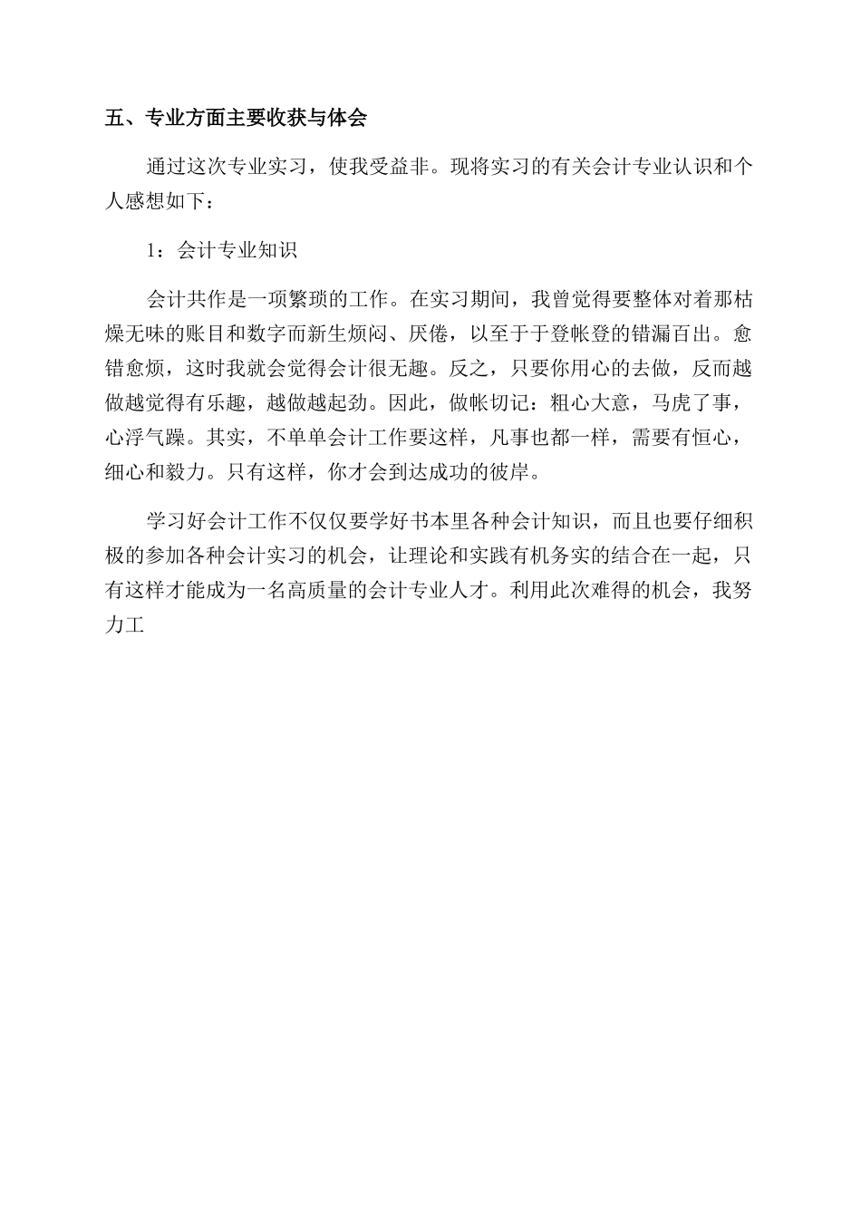 会计实习生社会实践报告范文_第2页