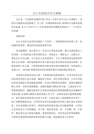 会计实践报告范文模板