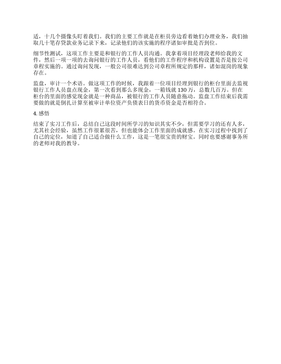 会计师事务实习报告_第3页