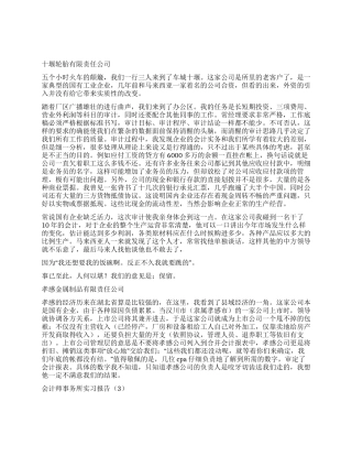会计师事务所实习报告3篇