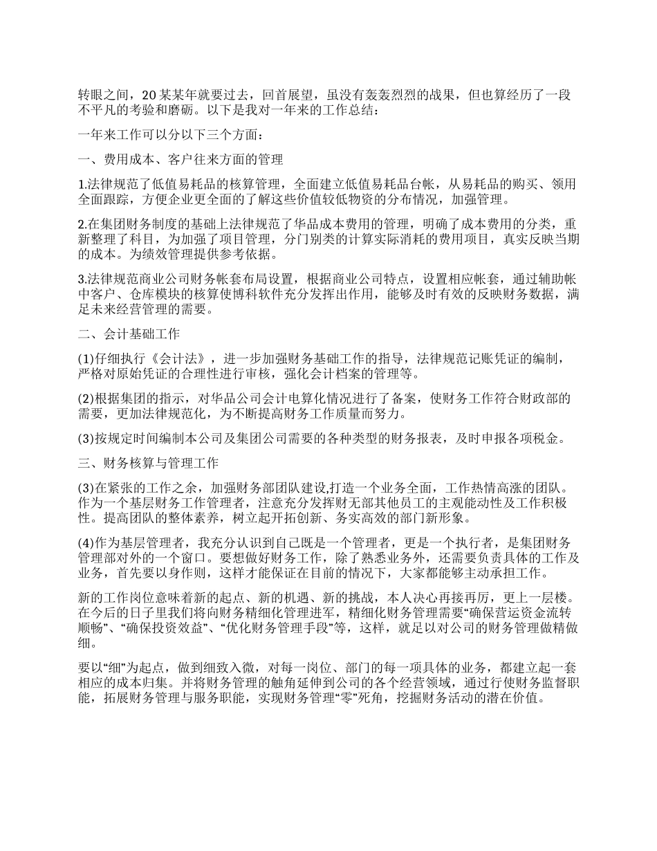 会计师年终个人总结_第1页