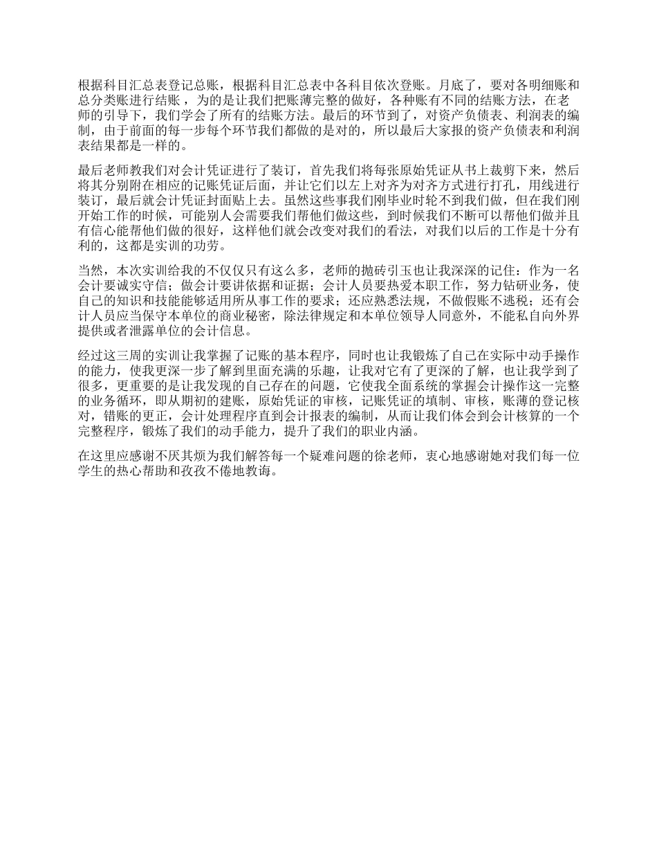 会计技能实习总结_第2页