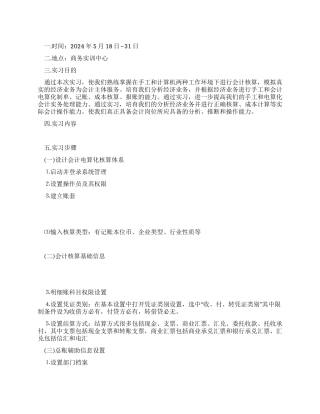 会计电算化实习总结