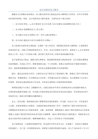 会计电算化实习报告