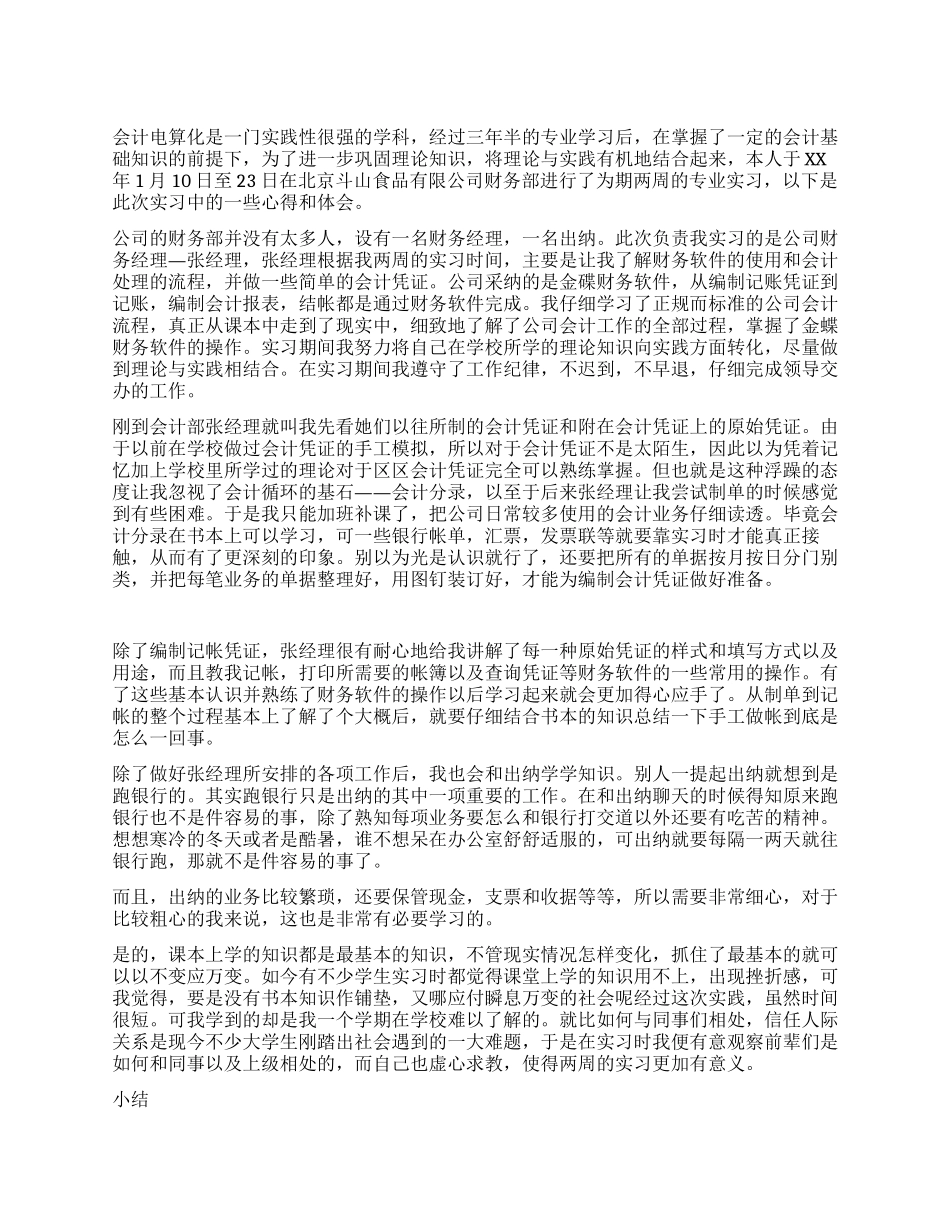 会计电算化实训总结范文_第1页