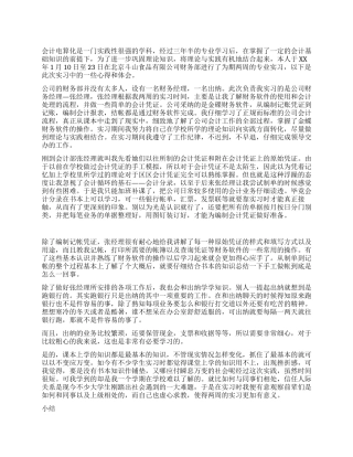 会计电算化实训总结范文