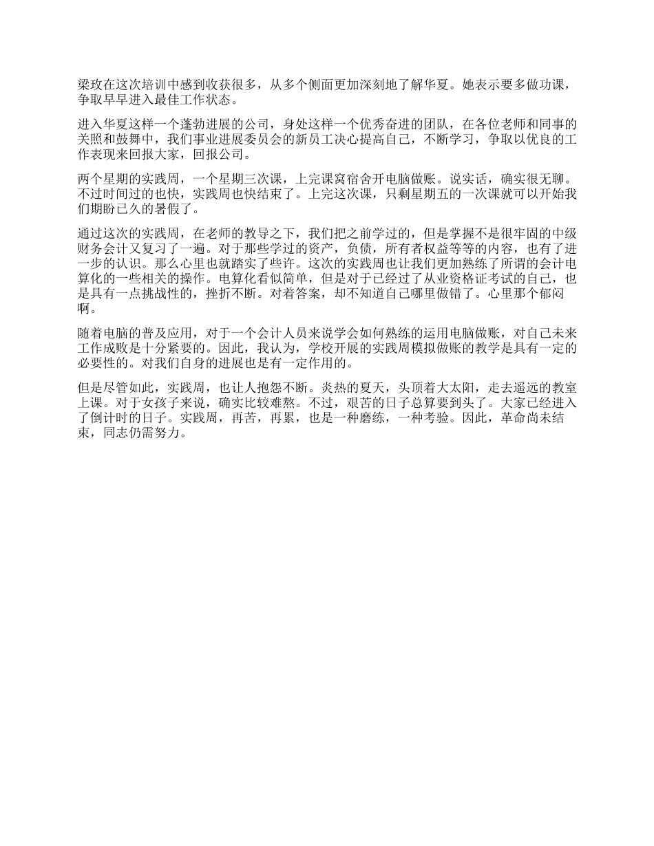 会计电算化实训总结_第2页