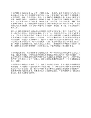 会计电算化毕业生实习总结范文