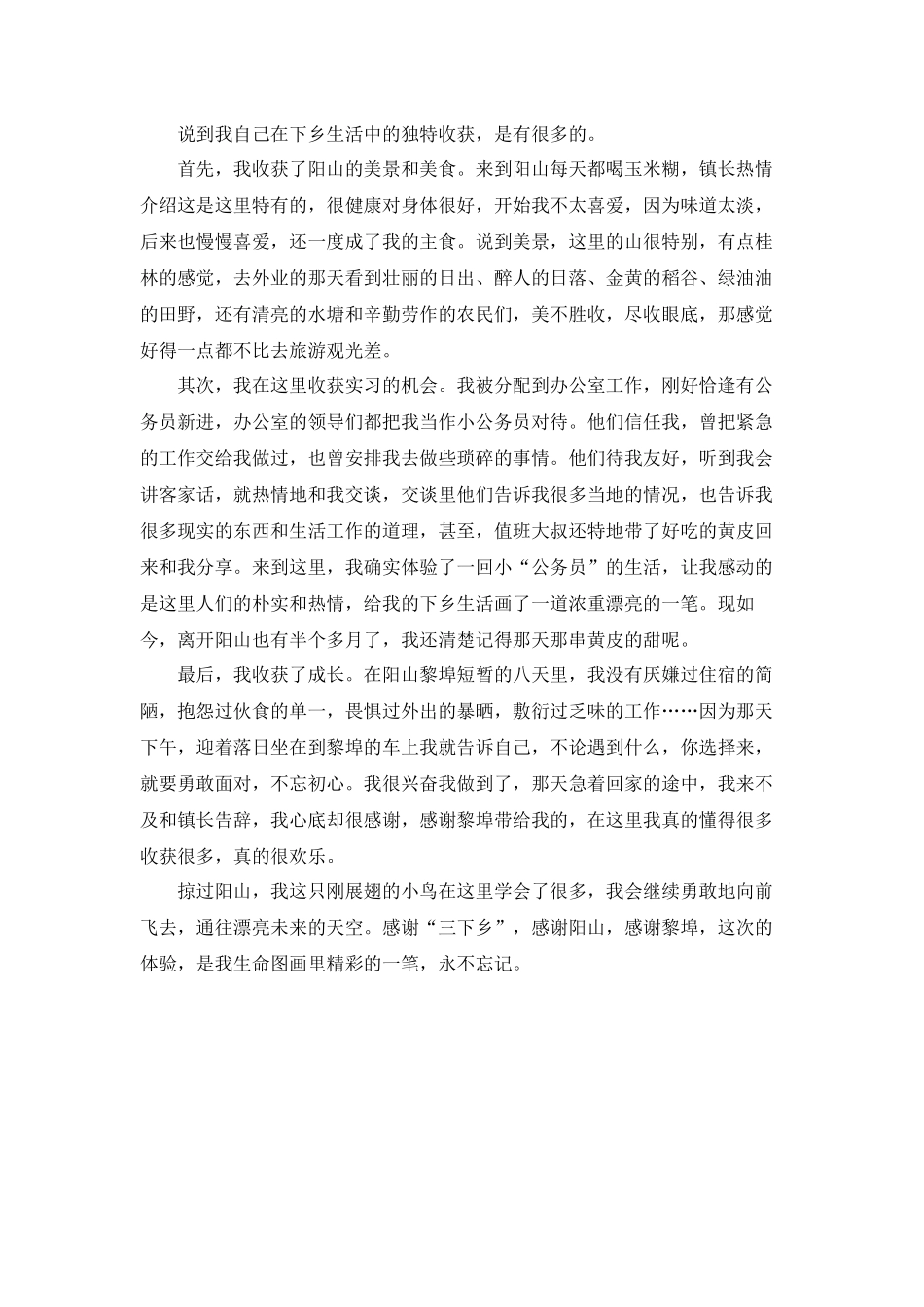 何佳静三下乡总结_第2页