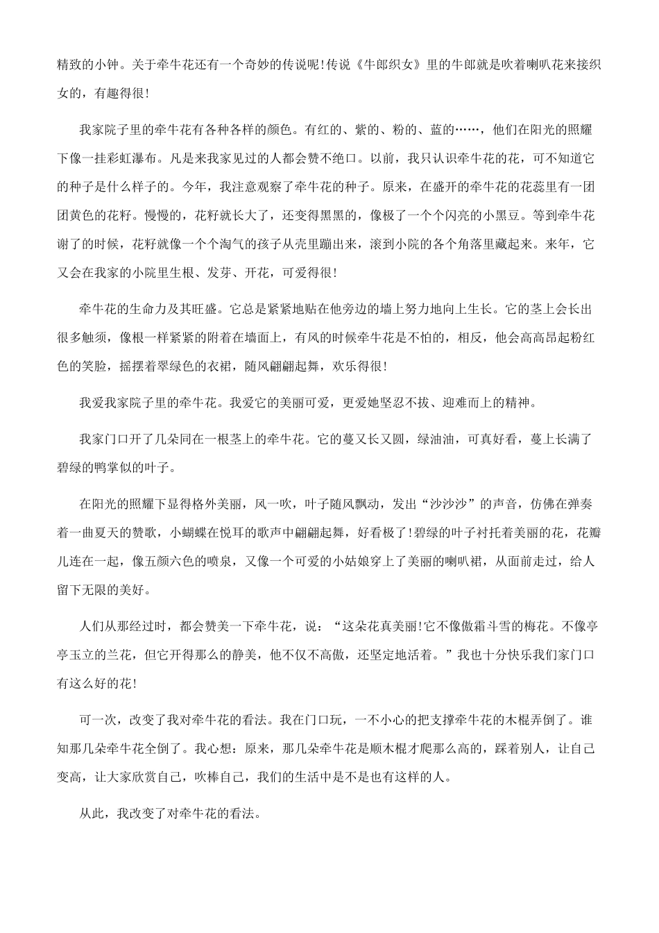 作文牵牛花300个字_第2页