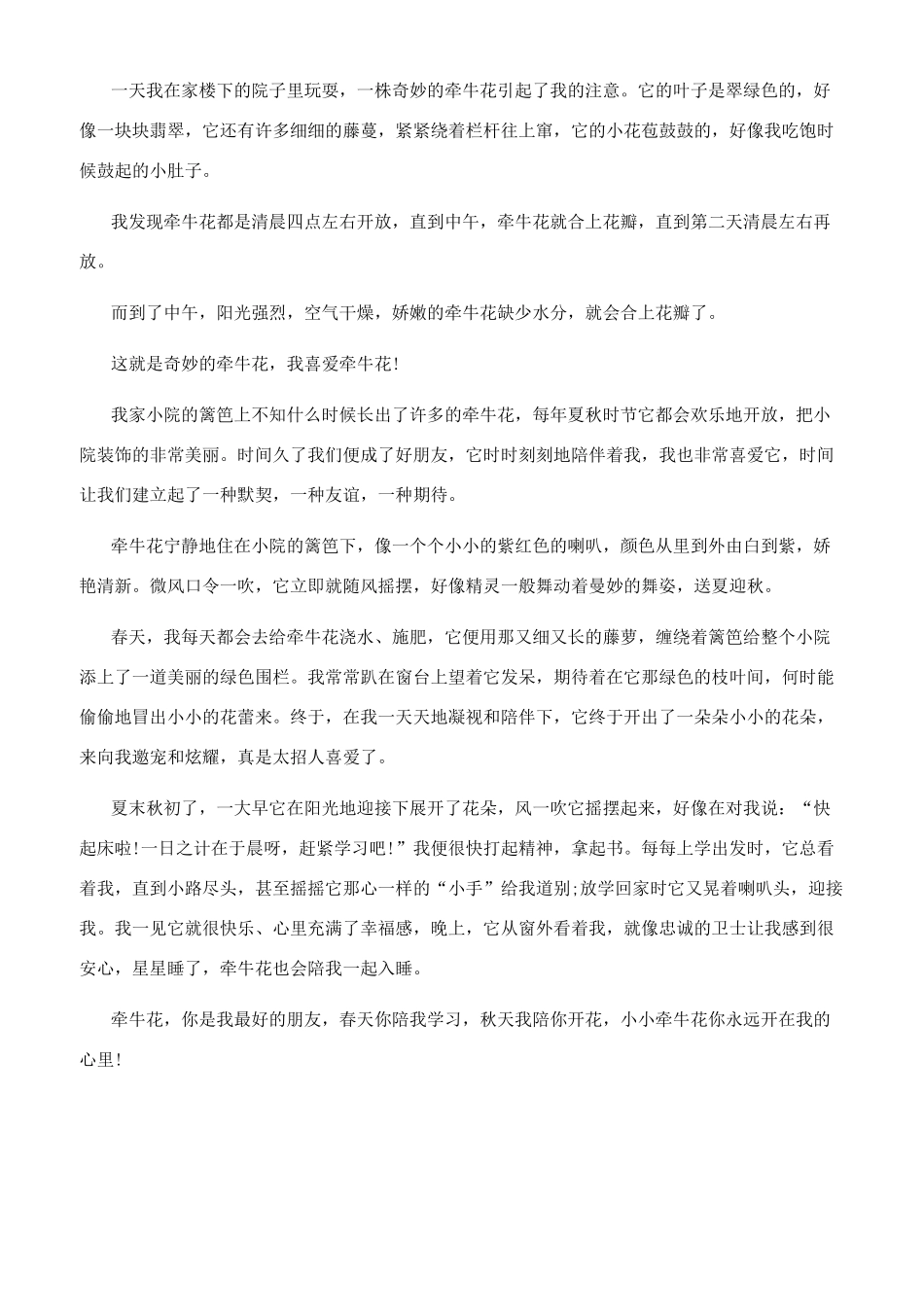 作文牵牛花300个字_第3页