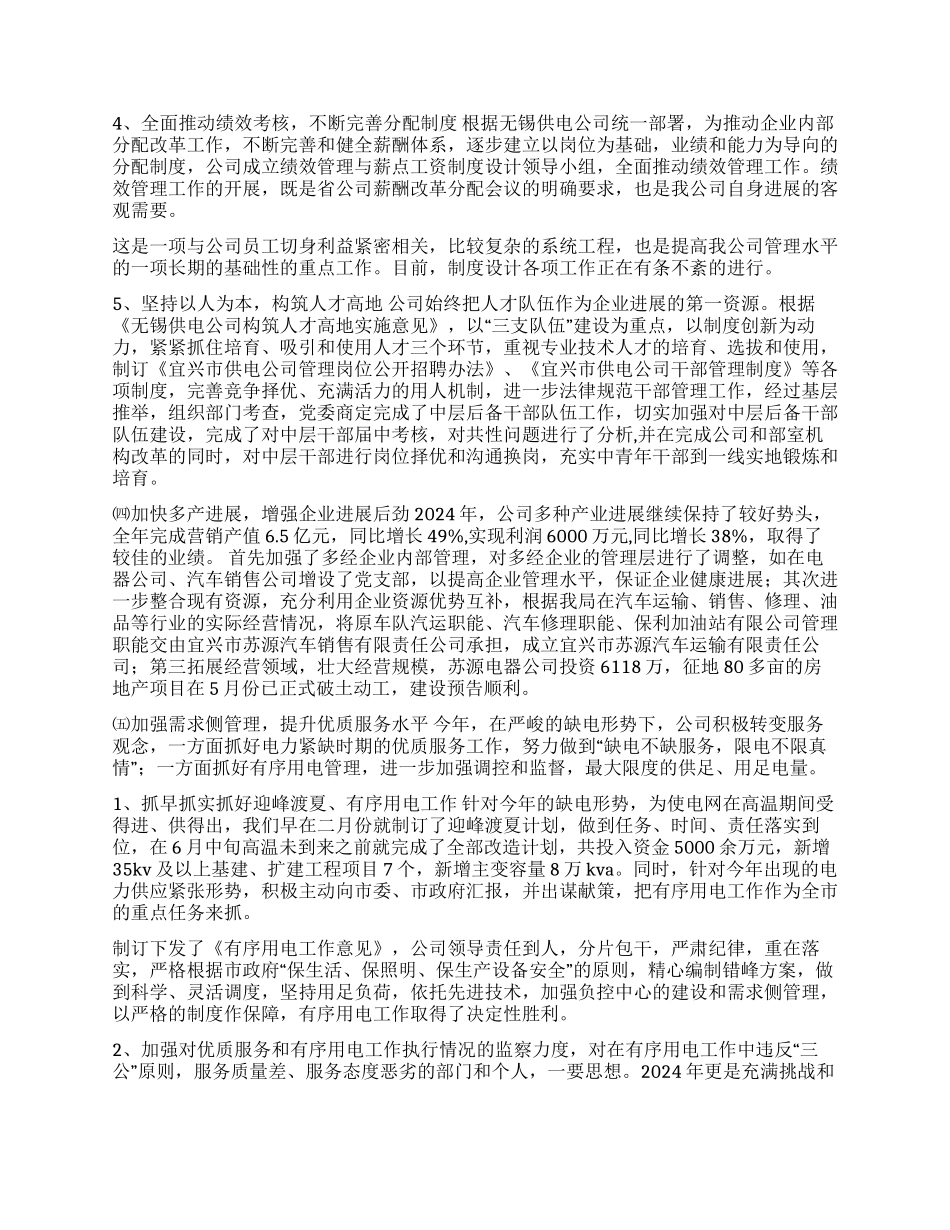 供电公司2024工作总结_第2页