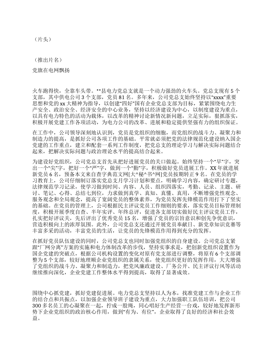 供电公司党建工作解说词_第1页