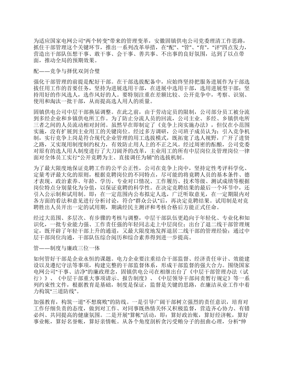 供电公司干部队伍建设经验交流材料_第1页