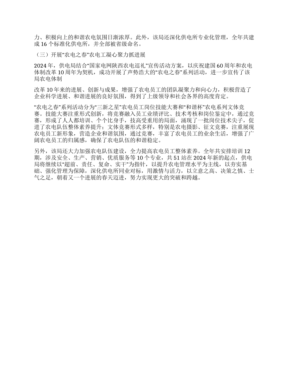 供电局2024年工作总结范文_第2页