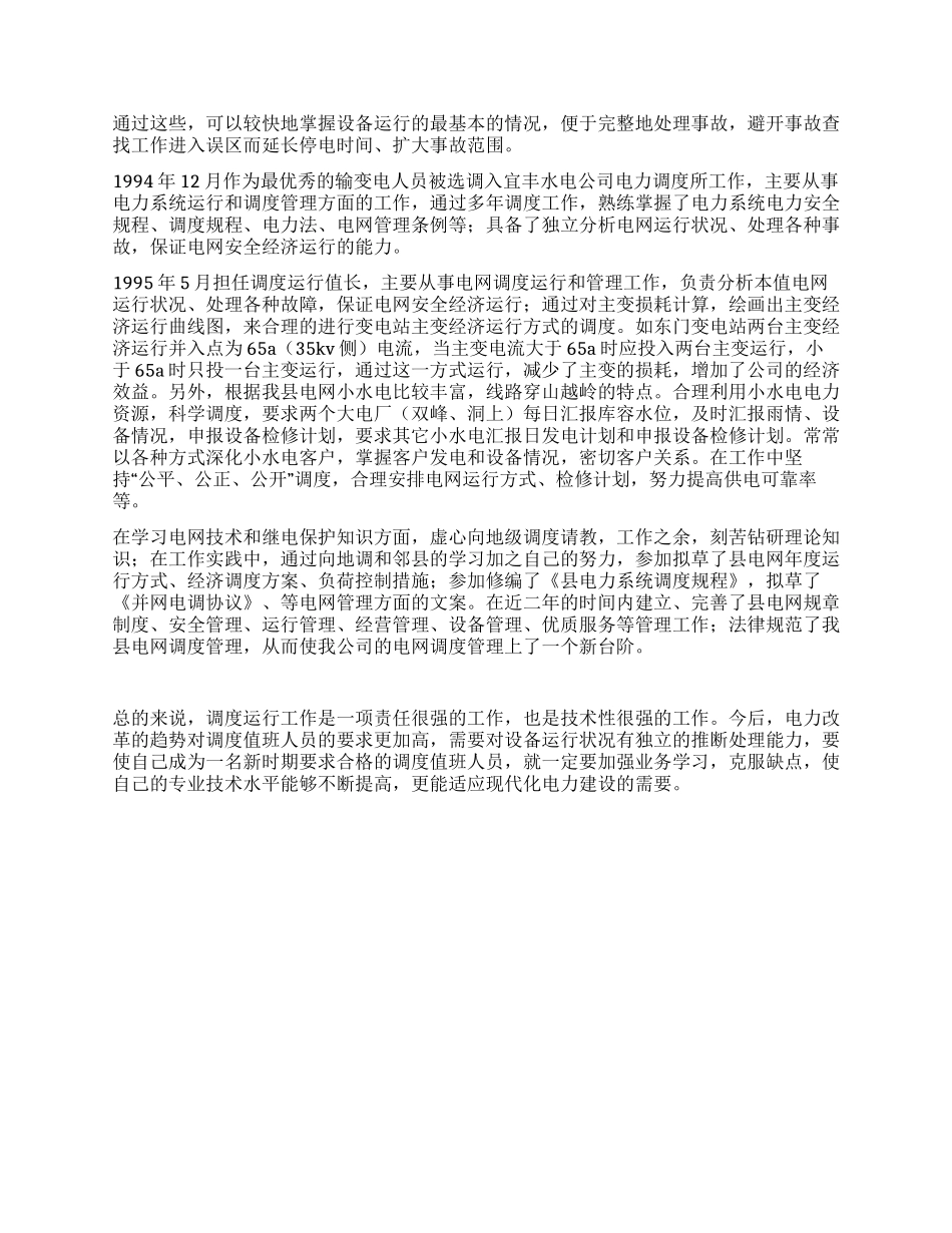 供电有限责任公司技术工作总结_第2页
