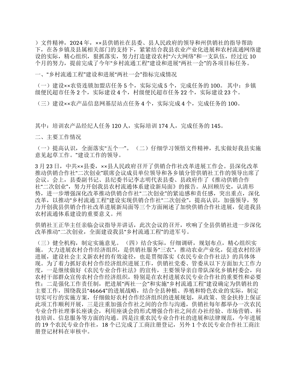供销社2024年“乡村流通工程建设工作总结_第1页