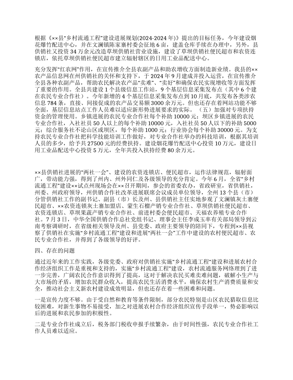 供销社2024年“乡村流通工程建设工作总结_第2页
