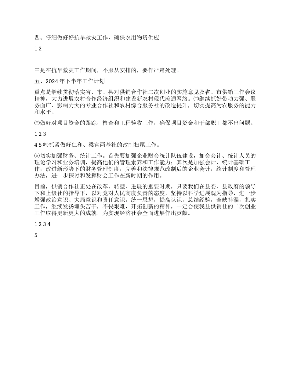 供销社2024年工作总结_第2页