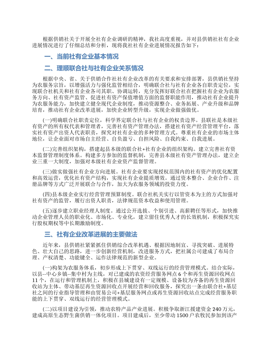 供销社社有企业调研报告_第1页