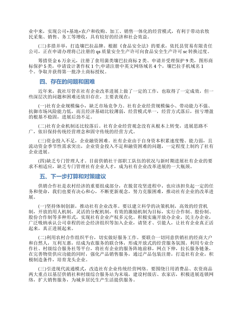 供销社社有企业调研报告_第2页