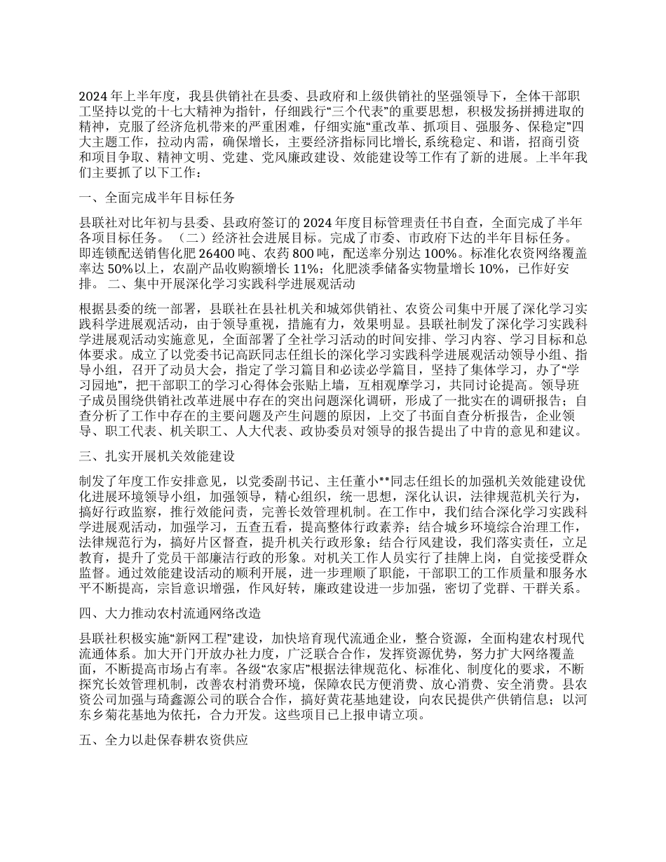 供销联社2024上半年廉政效能工作总结_第1页