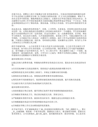 促销员个人工作总结模板2024