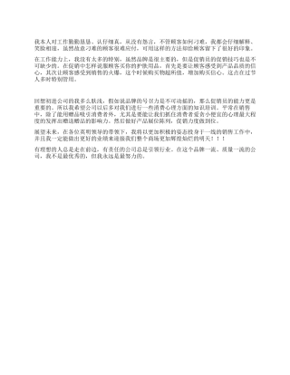 促销员工作总结范文