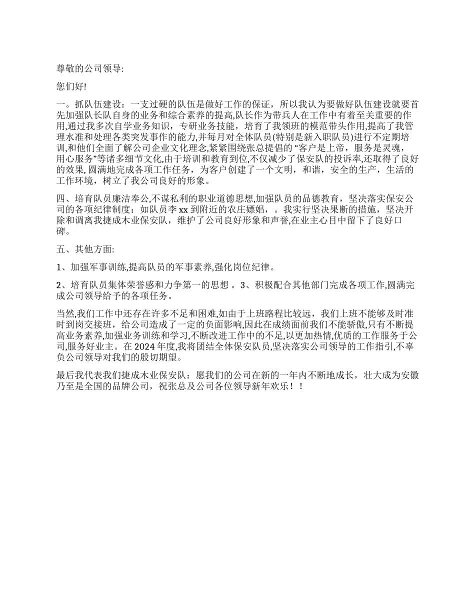 保安队年度工作总结_第1页