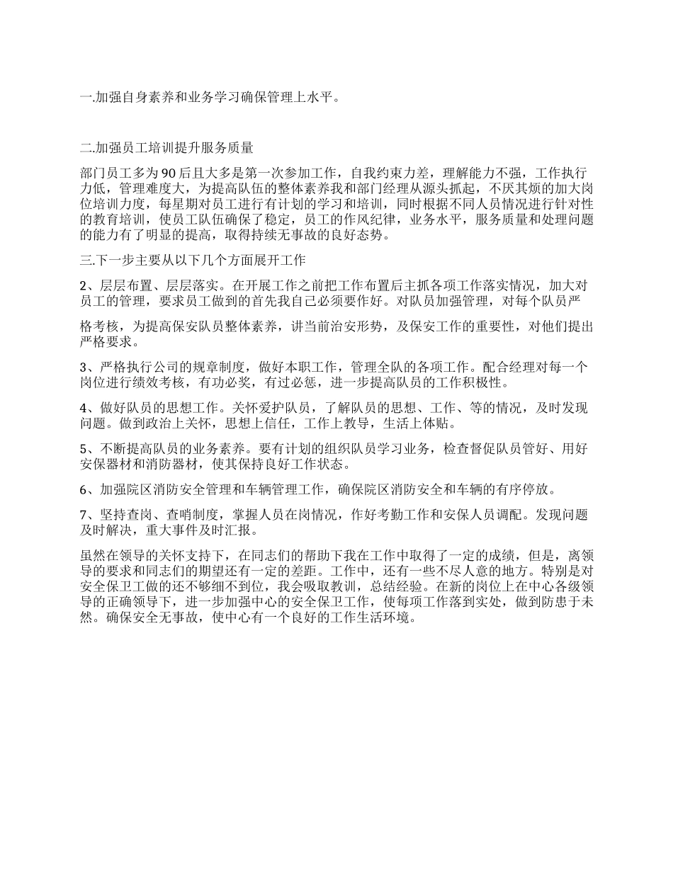 保安队长个人总结_第1页