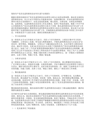 保持共产党员先进性教育活动“回头看自查报告