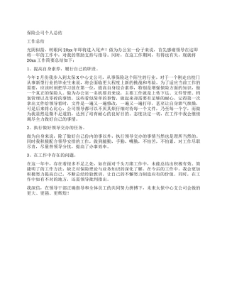 保险公司个人总结