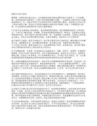 保险公司实习总结