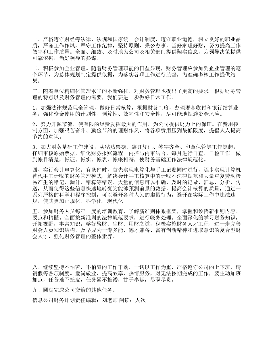 信息公司财务计划_第1页
