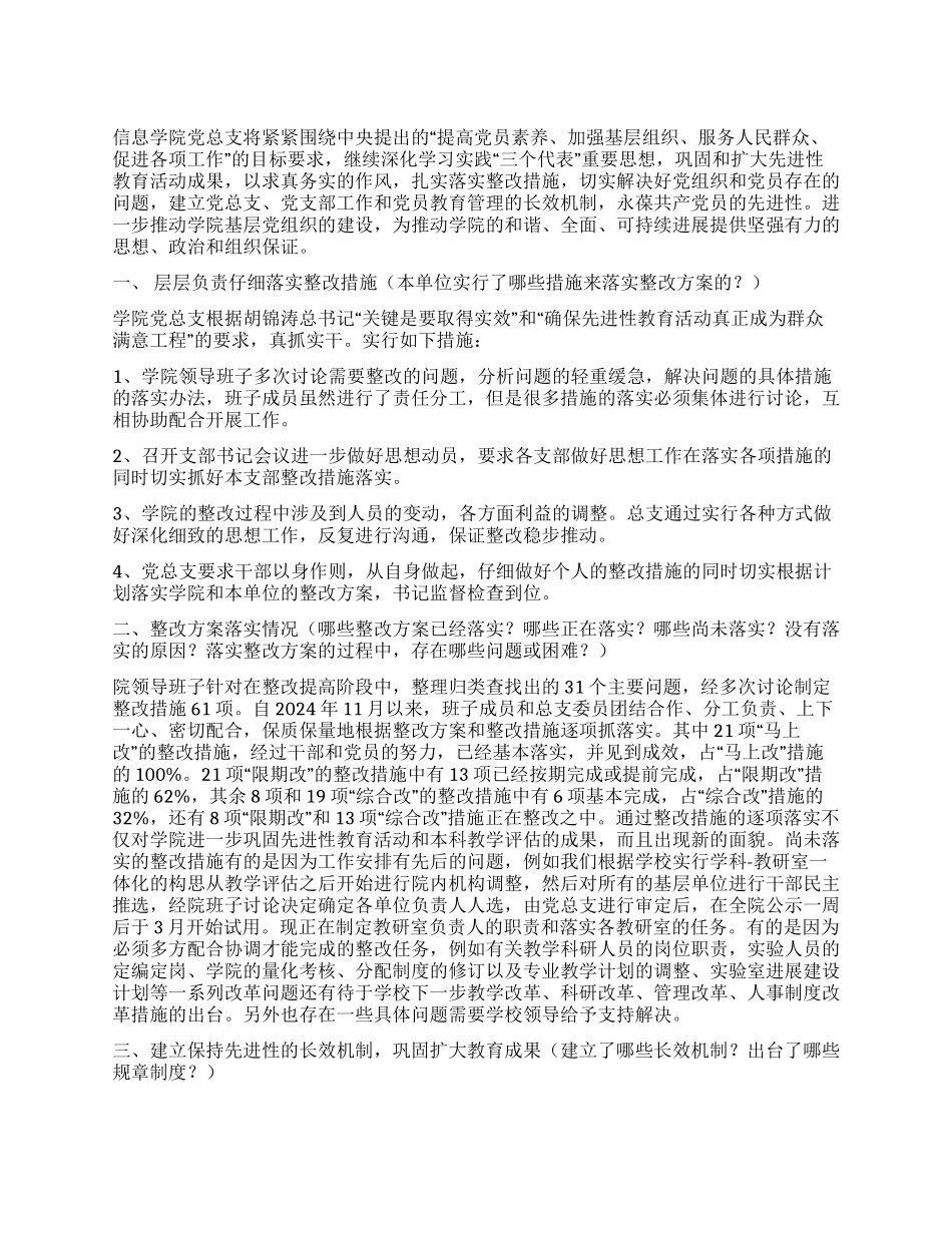 信息学院党总支“回头看工作总结_第1页