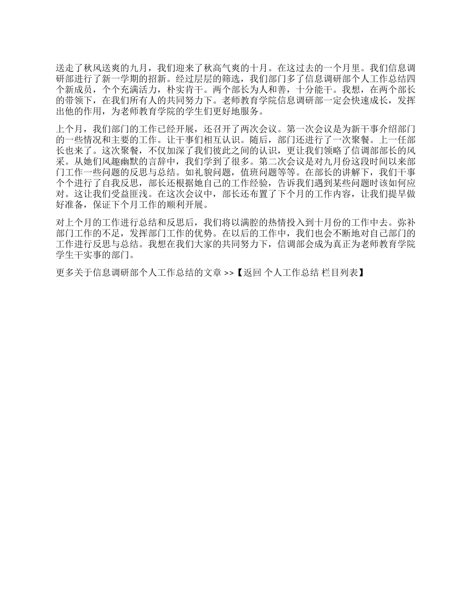 信息调研部个人工作总结_第1页