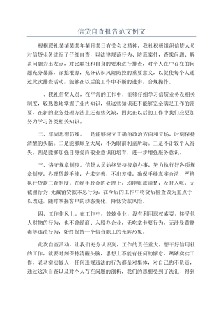 信贷自查报告范文例文