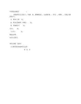 借款人收入证明
