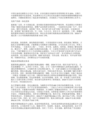 做精做强终端——石油销售