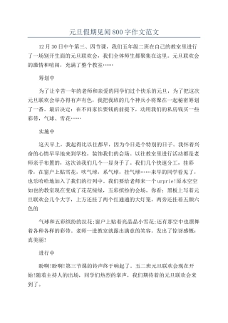 元旦假期见闻800字作文范文