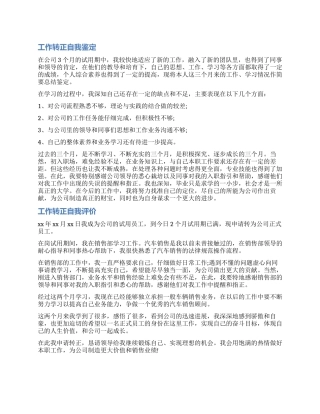 党委书记述职评价意见