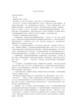 党支部书记表态发言