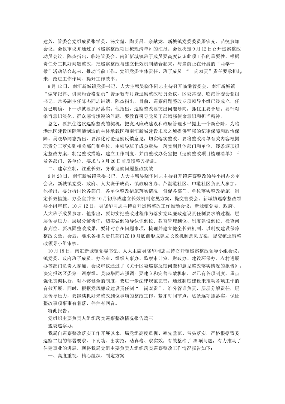 党组织主要负责人组织落实巡察整改情况报告_第3页