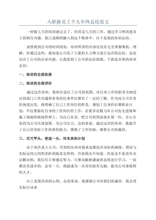 入职新员工个人年终总结范文