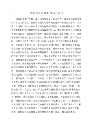 全面预算管理心得体会范文