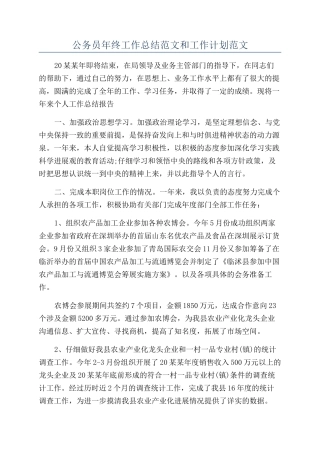 公务员年终工作总结范文和工作计划范文