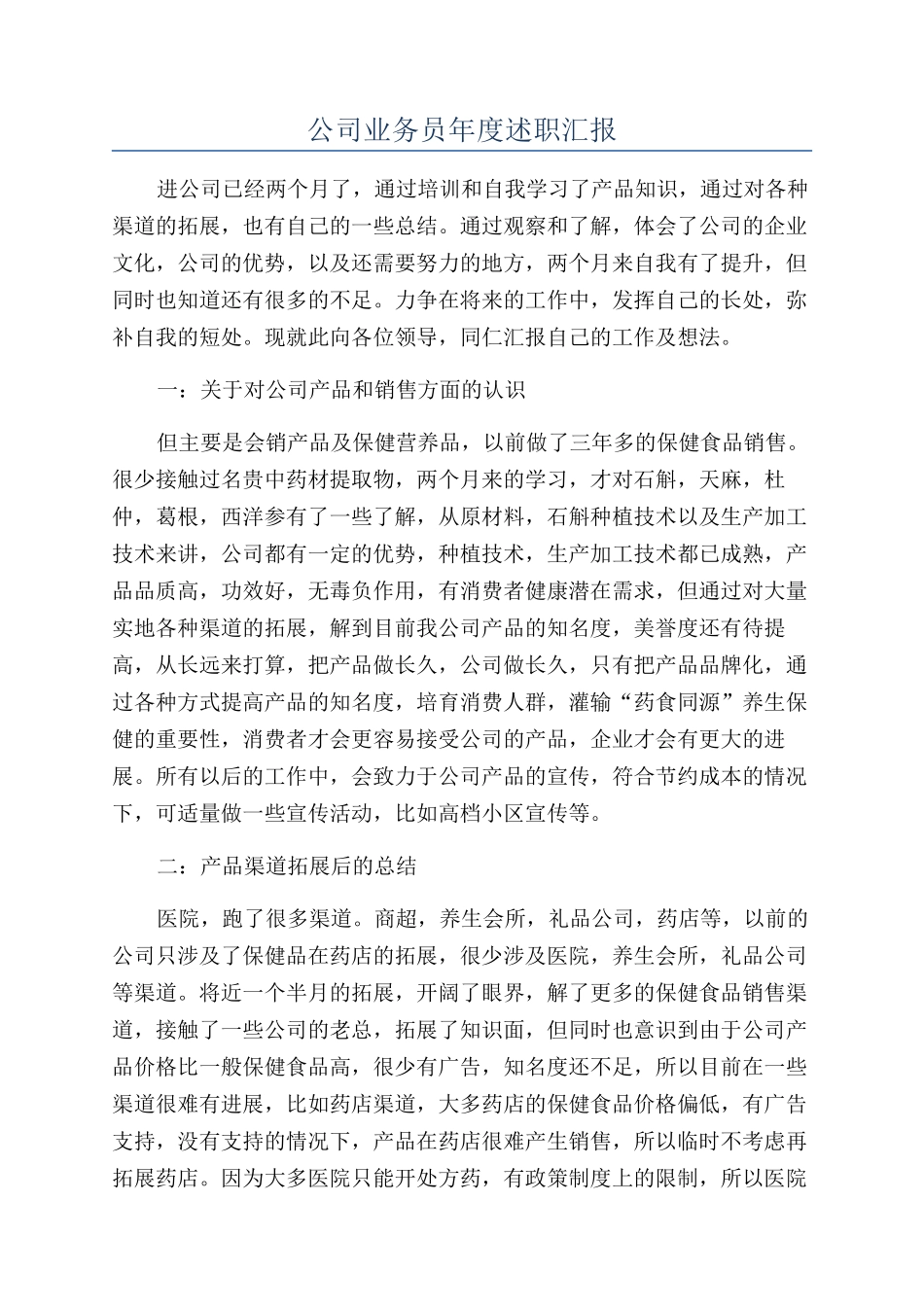 公司业务员年度述职汇报_第1页