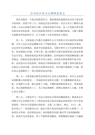 公司会计实习心得体会范文