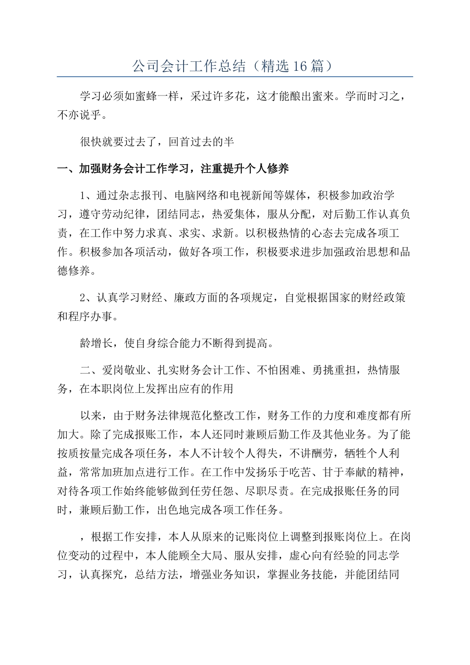 公司会计工作总结_第1页